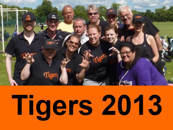 Tigers, 2013